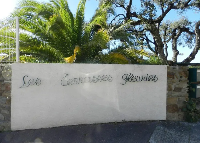 Lv005-065 Appt 2 Pieces 4 Couchages Apartment Le Lavandou